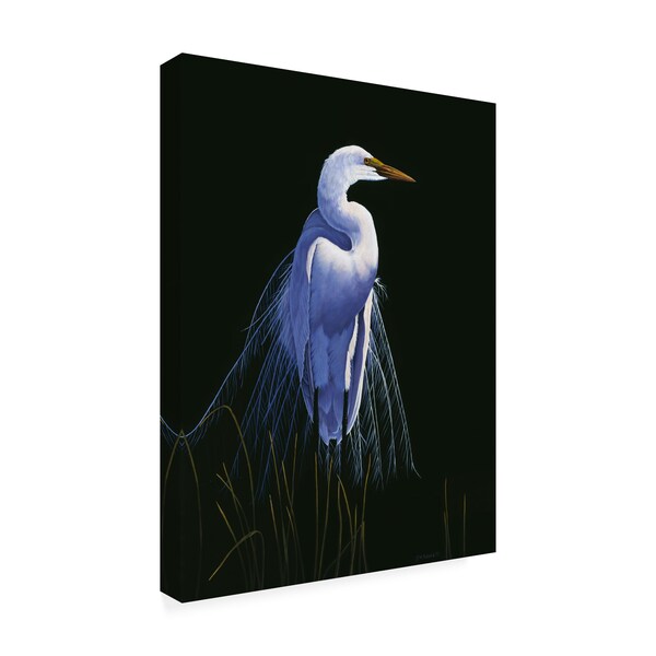 Michael Budden 'Common Egret In Breeding Plumage' Canvas Art,24x32